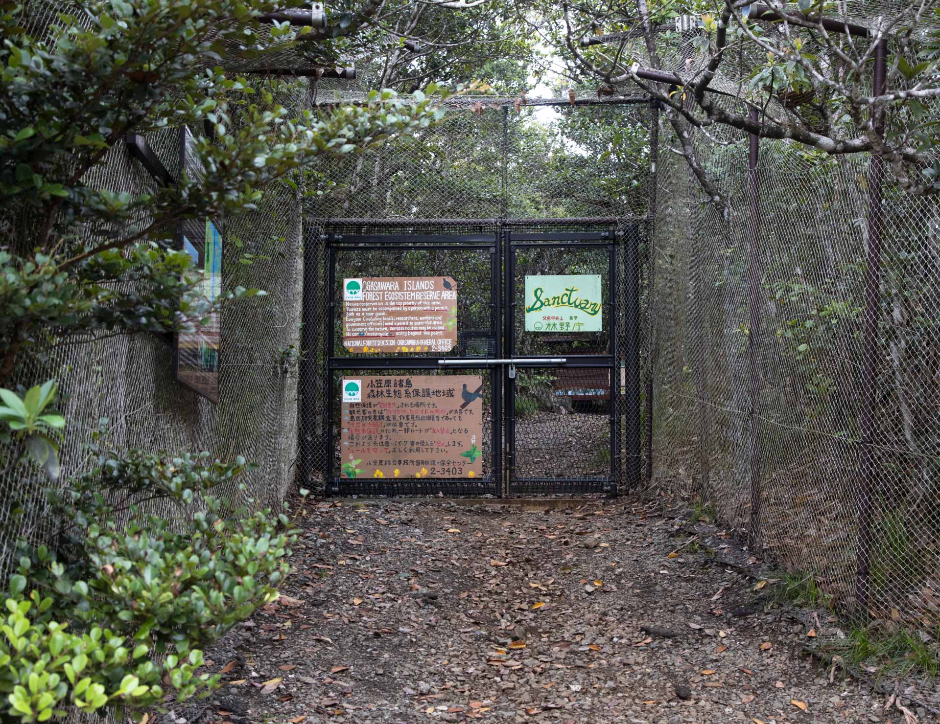 東平アカガシラカラスバトサンクチュアリー入口